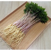 새싹삼 100뿌리 50뿌리 새싹인삼 쌈 집들이 업소용 부모님 선물 수경재배 맛난거팜, 대 100뿌리, 1개