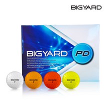 넥센 BIGYARD 빅야드 PD 2피스 골프볼(12알), 화이트볼