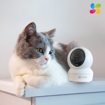 이지비즈 C6N 4MP 360도 스마트 홈캠 CCTV (400만 화소), CS-C6N-D0-8B4WF