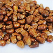 초록사랑 국내산 볶은옥수수 옥수수차, 1개, 2kg