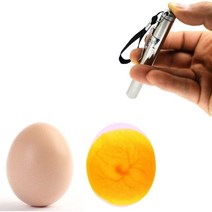 인큐베이터 eggtester egg candling lamp led super cold equipment incubator tool, 없음