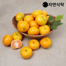 자연식탁 제주직송 극조생 노지감귤 4.5kg 사이즈별, 노지감귤 4.5kg 로열과