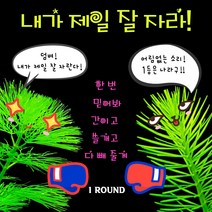 [수초교실] 내가 제일 잘 자라 수초 세트 많이 줄게 더 줄게, 5종 (총 21촉)