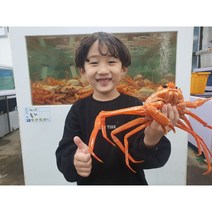 동해안 후포항 프리미엄 박달 홍게 대게 / 산지직송 생물 자숙(찜), 정품 박달홍게 10마리 (4kg), 자숙(찜)비용 무료