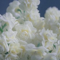 [캔들이케아] 국내산 프래그런스 오일 50ml 108종, 70_S.멜로그라노