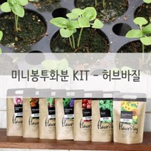 EKI112580대박할인키우기쉬운식물 미니 방수화분 재배 세트 허브바질, 상품선택