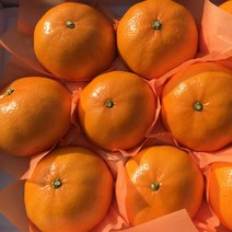 제주 프리미엄 고당도 레드향 3kg 선물용, 프리미엄 레드향 3kg (6-9수) 대과