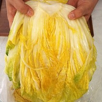 절임배추 절인배추 국내산 제철 배추 김장철 3kg 5kg 10kg 20kg, 절임배추 20kg