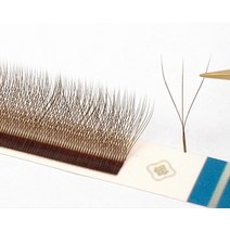 마리아 3D W 모양의 속눈썹 연장 용품 0.07 갈색 자연 메이크업 팬 Y 클러스터 개인 상표, 02 Brown_02 9mm_03 C