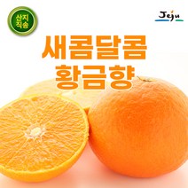 고당도 제주 산지직송 과일 황금향 감귤 3kg 5kg 10kg 가정용 선물용 선물세트 선물 특품, 1.프리미엄 황금향 3kg 중과