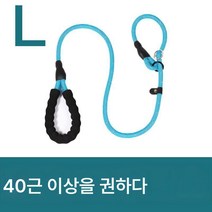 비웅견 전용 견인끈 강아지끈 방폭펀치체인산책견탈출방지 대소형견줄 묶기, 색깔5, 로프 길이 [1.7 m]