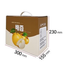 건강즙 건강원 과일 플라스틱손잡이 배즙 즙박스 즙포장박스 50장(100ml/60포)