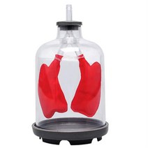 관찰학습 폐호흡원리 들숨날숨 투명 폐호흡 모형 논리력 창작 체험교육 사이언스 실습