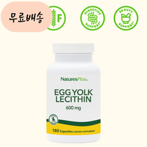 NaturesPlus 난황 난황유 난유 레시틴 600m.g 180개, 1개, 180정