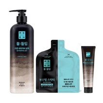 자연갈색물들임 새치커버 샴푸 450ml+부스팅 스타터+트릿150ml