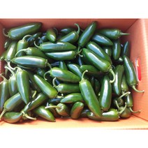 퍼팩트 할라피뇨 장아찌 피클용 아삭이고추 500g, 3kg, 1개