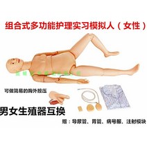 전신 인체 모형 실습 간호 교육 간병인 요양보호사, 생식 교환 여간호인