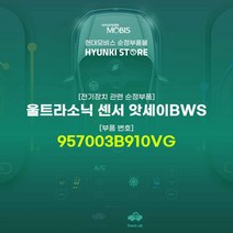 현대모비스 울트라소닉 센서 앗세이BWS (957003B910VG)