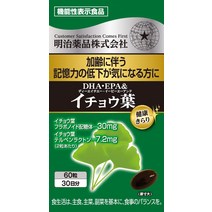 노구치 은행잎 DHA EPA 60알 약 30일분