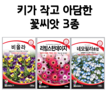 키가 작은 꽃씨 3종 세트 모음 네모필라 씨앗 비올라 씨앗 리빙스턴 데이지 씨앗 꽃씨 종자 꽃씨몰