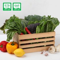 [산지직송] 당일수확 유기농 쌈채소 모듬쌈 모듬채소 쌈채소, 1kg
