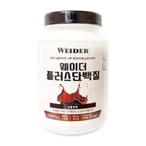 웨이더 플러스 단백질 코코아 초콜릿맛 파우더 1020g