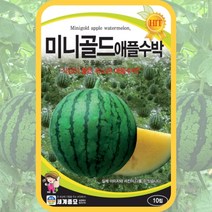 미니수박 씨앗 10립 미니 골드 애플수박 씨앗 종자 수박 과일 씨 봄 여름