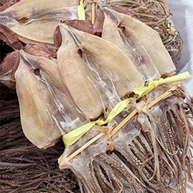 자연맛남 영덕 당일바리 건 마른오징어_국내산 20미 크기별, 04.마른오징어 20미 한축 2kg내외, 상세설명 참조