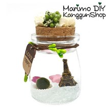 강군샵 [강군샵] 마리모 키우기 반짝반짝 LED푸딩 세트-투명, 선택완료