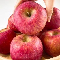 [22년] 고당도 청송사과 햇 부사 정품만 선물용 10kg (46~48과)