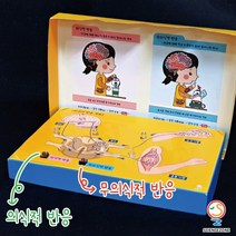 사이언스존 [인체의 비밀-자극과반응 5인용] 생명과학 과학실험 과학교구 과학실험키트 STEAM 학습교구