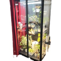유리 온실 하우스 식물 열대 다육이 재배 홈가드닝, 블랙 길이 80x 깊이 40x높이160