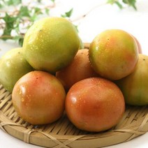 [햇살아름]대저 토마토 2.5kg M, 1개, 상세설명 참조