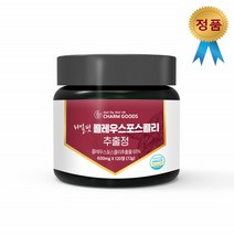 콜레우스포스콜리 추출물 정 120정