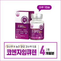 코엔자임큐텐 코큐텐10 고큐텐 코자임큐텐 코엠자인 coQ10 (60캡슐 x 2통 4개월분)