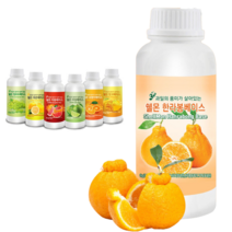 매일공감 과일 농축액 원액 자몽 라임 레몬 오렌지 망고 청포도 에이드 만들기 1kg, 과일 농축액 베이스 체리 1kg
