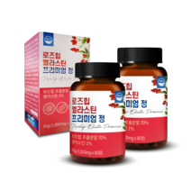 웰리즈 로즈힙 엘라스틴 프리미엄 정, 60정, 2개