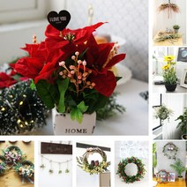 해피데이 겨울꽃 15종 포인세티아 화분 세트 생화 여친 연말 선물 L2-201231-2, 화이트