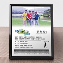 싱글 홀인원 이글 이븐파 골프 기념패 golf 008, 중 250x200/선택안함