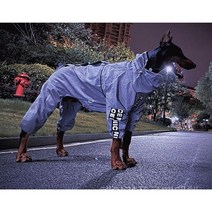 개 대형견레인코트 골든 리트리버 래브라도 허스키 올 인클루시브 조수 브랜드 반사 비옷, 은회색