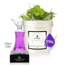 아로화 Arohwa 아로마 입욕제 족욕제 가성비 좋은 대용량 국내산 아로마 바스솔트 허브, Herb (허브), 1개