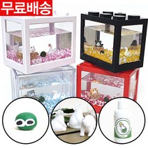 국산정품 블럭 어항 대크기 마리모 키우기, 투명블럭[레드]