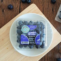 고당도 칠레 생 블루베리 125gx4팩/16mm내외/500g, 없음