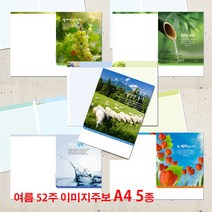 꿈마을예닮 주보 여름 주보 교회주보 주보도안 기성주보 디자인주보 예배순서지 팬시 예쁜주보 주보인쇄 제작 청년부 중고등부 주보 헌금봉투 한글문서 제공 5종 A4 주보 5권, 2세트