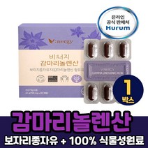 미니GRAY 감마리놀렌산 보라지유 보라지오일 보라지꽃 종자유 식물성 에코캡슐 캡슐 알약 정 먹는법, 60정, 1박스