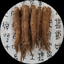 우리몰/ 횡성더덕 상품 1kg, 1개