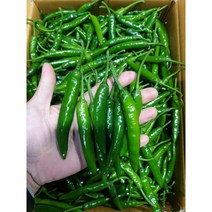 청양고추 매운 고추 땡초 1kg 5kg 10kg 햇고추, 특-5kg