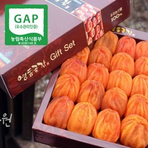 왕 대봉곶감 영동곶감 반건시 선물세트 명절선물, 반건시1kg세트