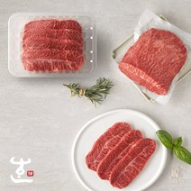 한우지예 데일리팩 1++(8)등급 한우 부채살 250g, 1팩