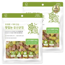 라이브잇 굿데이 맛있는 유산균껌 강아지 간식, 26개, 300g, 소고기